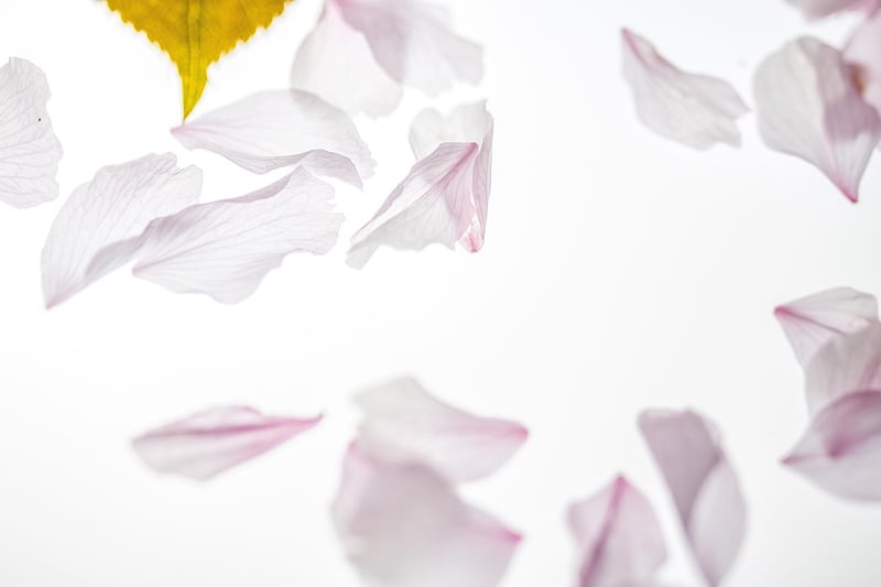 Ethereal blooms